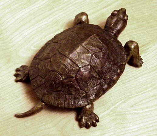 turtle-back