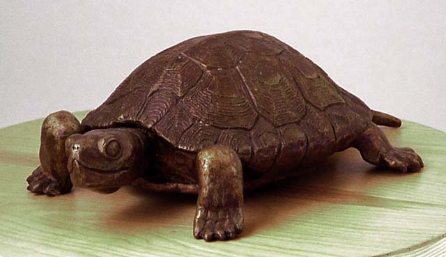 turtle-side