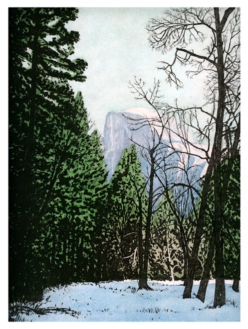 Yosemite state 2
